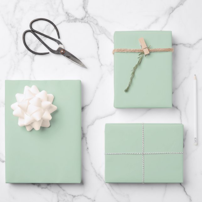Minimalistisch Light Celadon Green Schlicht Solid  Geschenkpapier Set (Vorderseite)