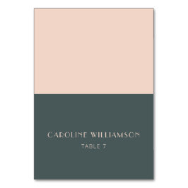 Minimalistisch Moderne Kunst-Déco Aquamarine Platz Tischnummer