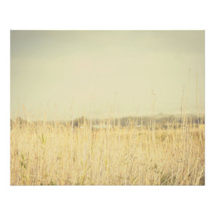 Minimalistische abstrakte Natur – beruhigende Wand Fotodruck