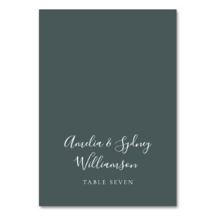 Minimalistische Aquamarine Script-Individuelle Nam Tischnummer