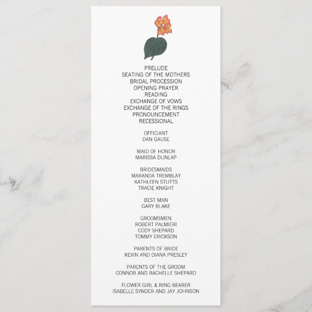 Minimalistische Begonia-Blume Programm (Vorderseite)