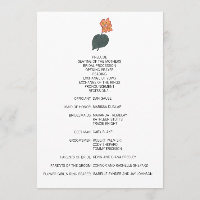 Minimalistische Begonia-Blume Programm (Vorderseite)