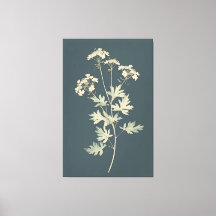 Minimalistische Cilantro-Blätter
