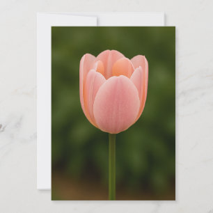 Minimalistische Dankeskkarte mit einer Blume  Dankeskarte