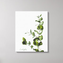 Minimalistische Elegantsage Eukalyptus Canvas Prin Leinwanddruck