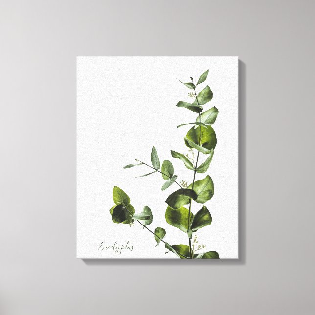 Minimalistische Elegantsage Eukalyptus Canvas Prin Leinwanddruck (Vorderseite)
