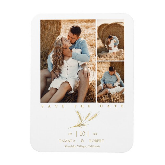 Minimalistische Goldene Weize 3 Fotos Collage Wedd Magnet (Vertikal)