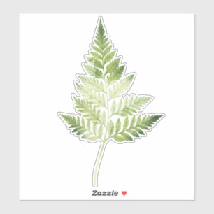 Minimalistische Grüne ernährende botanische Illust Aufkleber