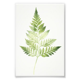 Minimalistische Grüne ernährende botanische Illust Fotodruck