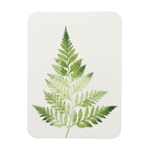 Minimalistische Grüne ernährende botanische Illust Magnet