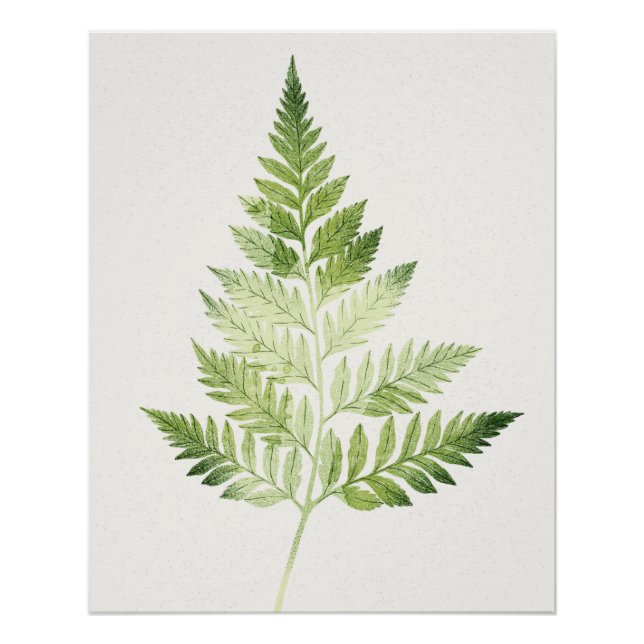 Minimalistische Grüne ernährende botanische Illust Poster (Vorderseite)