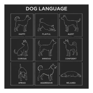 Minimalistische Hund-Körpersprachen- und Verhalten Poster