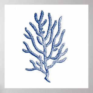 Minimalistische Koralle in Blau Poster