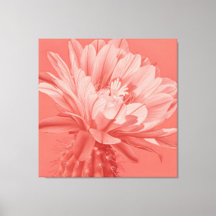 Minimalistische Korallen-Kaktus-Blüte Leinwanddruck