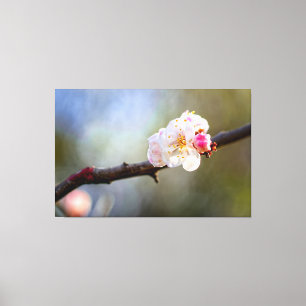 Minimalistische Kunst der blühenden japanischen Ap Leinwanddruck