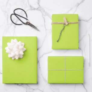 Minimalistische Linde Grün schlichte Solide modern Geschenkpapier Set