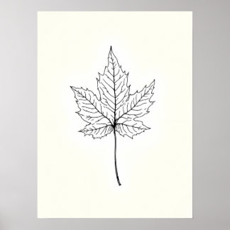 Minimalistische Moderne Kunst.Single Ahornblätterl Poster
