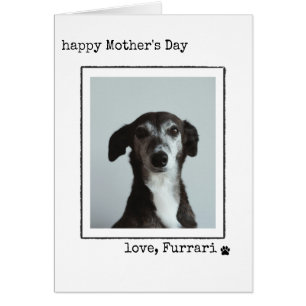 Minimalistische Muttertags-Postkarte vom Hund
