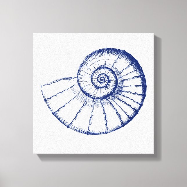 Minimalistische Nautilus-See-Muschel Leinwanddruck (Vorderseite)