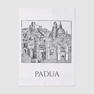 Minimalistische Padua-Mittelalter-Skyline-Linienku Seidenpapier