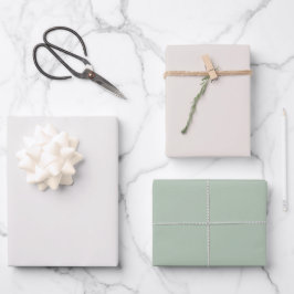 Minimalistische Pastel Solid Color Sage Green Them Geschenkpapier Set