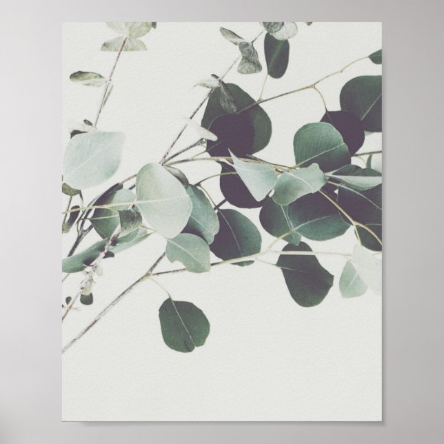 Minimalistische Pflanze Fotografie Kunst Poster (Vorne)