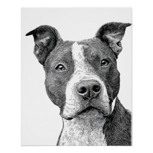 Minimalistische Pitbull-Silhouette Schwarz und Wei Poster