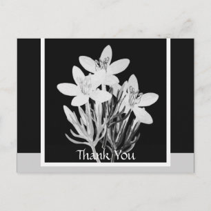 Minimalistische Postkarte mit Schwarz und Weiß