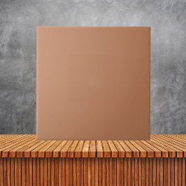 Minimalistische Terracotta solide braun erdig schl Fliese