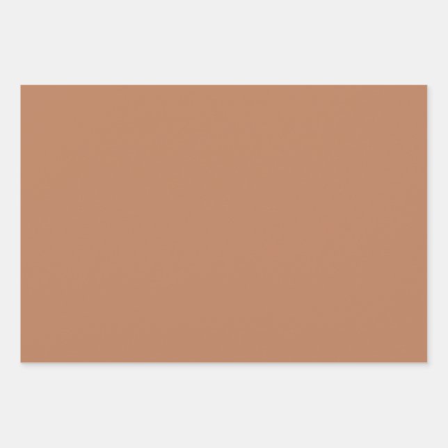 Minimalistische Terracotta solide braun erdig schl Geschenkpapier Set (Vorderseite)
