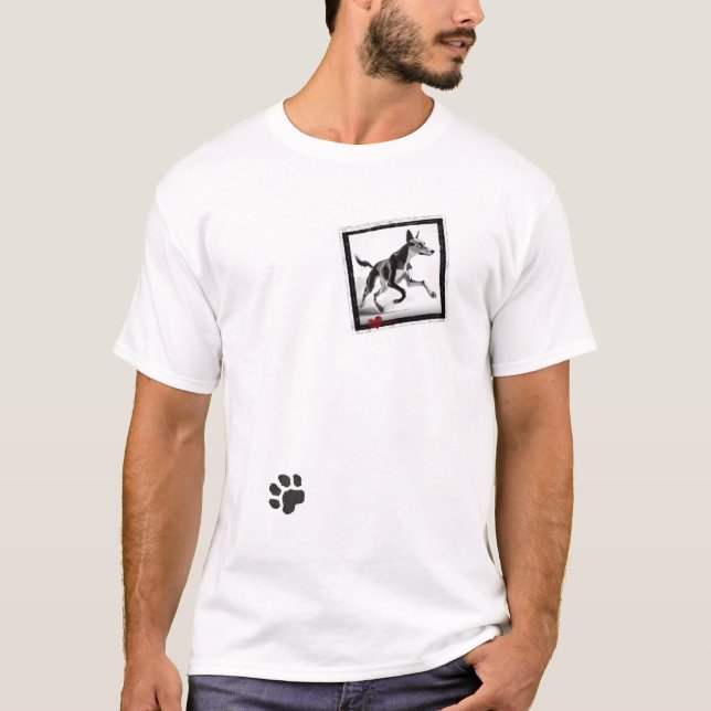 Minimalistischer Azawakh Dog Lover T-Shirt (Vorderseite)
