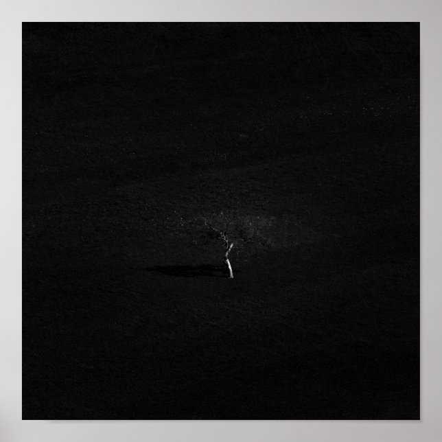 Minimalistischer einsamer Baum in Schwarz-Weiß Poster (Vorne)