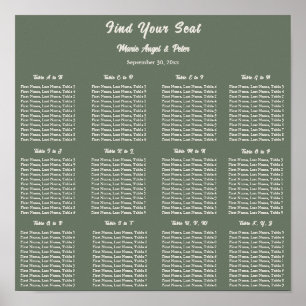 Minimalistischer erdiger Salbeigrüner 12x12 Sitzpl Poster