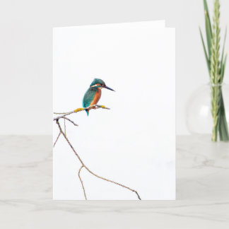 Minimalistischer Kingfisher auf Weiß für Vogelbeob Karte