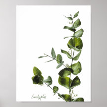 Minimalistisches Eukalyptus-Poster