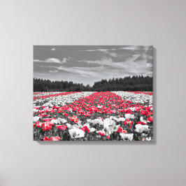 Minimalistisches Farbfoto für die Blume Leinwanddruck