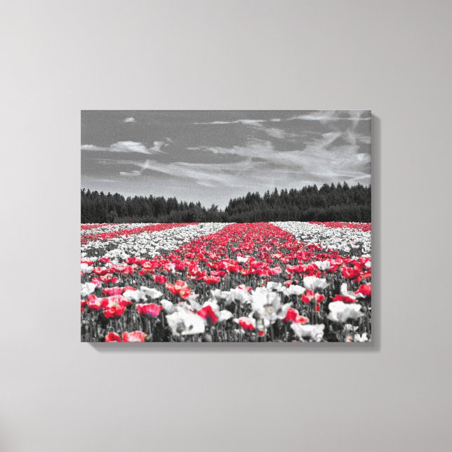 Minimalistisches Farbfoto für die Blume Leinwanddruck (Vorderseite)