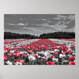 Minimalistisches Farbfoto für die Blume Poster
