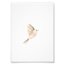 Minimalistisches Flugvogelplakat – Sanfte Wandkuns