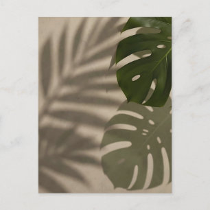 Minimalistisches grünes Monstera-Blatt Tropischer  Postkarte