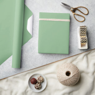 Minimalistisches Lichtgrün Geschenkpapier