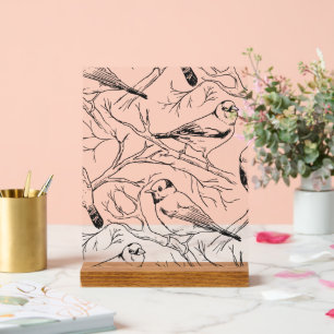 Minimalistisches nordamerikanisches Vögel-Linienku Acrylschild
