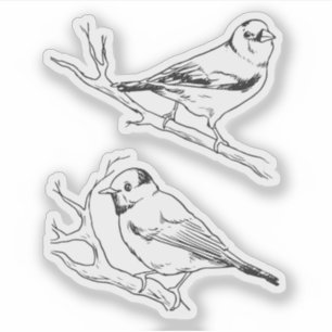Minimalistisches nordamerikanisches Vögel-Linienku Aufkleber