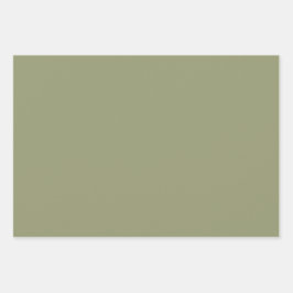 Minimalistisches Olive Sage Grün Schlichte Solid C Geschenkpapier Set