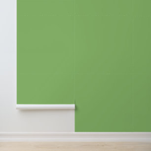 Minimalistisches Pistaziengrün, einfarbig, modern, Tapete