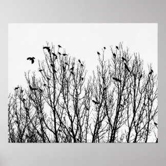 Minimalistisches Schwarz-Weiß-Foto von Vögeln in B Poster