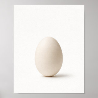 Minimalistisches Weißes Ei-Stillleben-Poster Poster