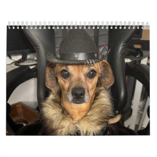 Minionwelt Kalender