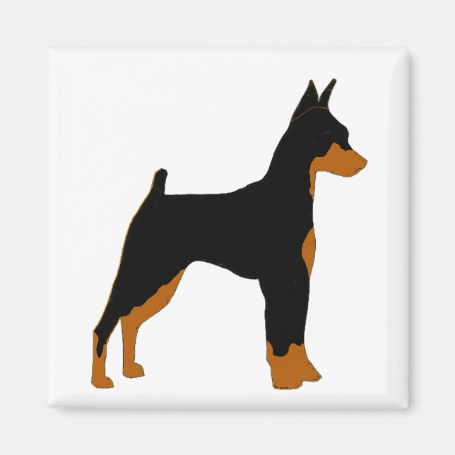 Minipinscher-Schwarz-Rost-Silhouette Magnet (Vorne)