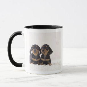 Minisitzen der Dackel-zwei Tasse